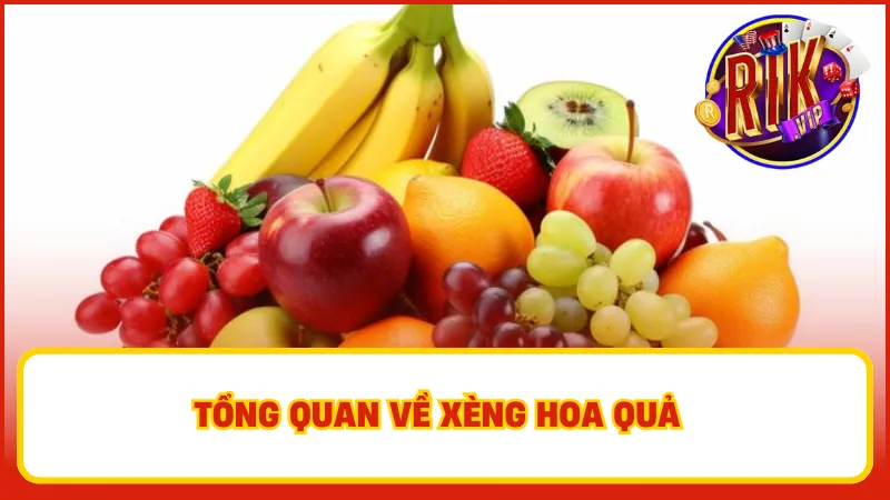 Xèng Hoa Quả – Slot Kinh Điển Quen Thuộc Nhưng Luôn Hot 1 Trò chơi này không chỉ dễ chơi mà còn mang lại cơ hội kiếm tiền thật cho người tham gia